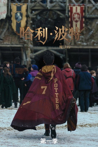 哈利·波特与魔法石