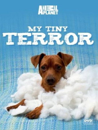 My Tiny Terror (1970)