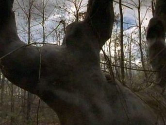 Imagem do episódio