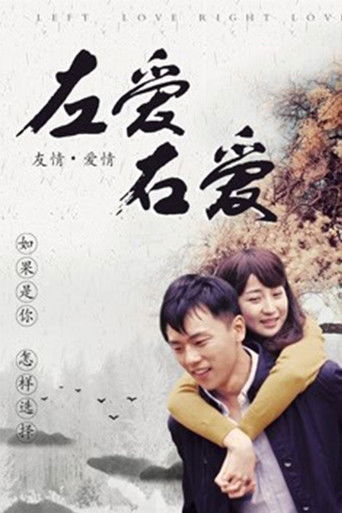 左爱右爱 poster