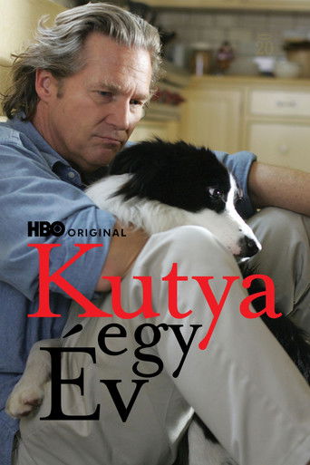 Kutya egy év