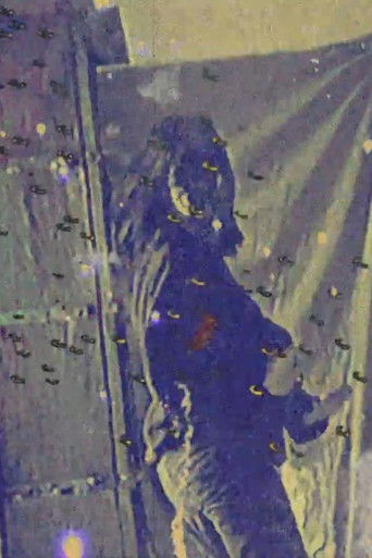 Bajuca Ad&eacute;lia (2020)