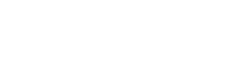 The Blind Side logo