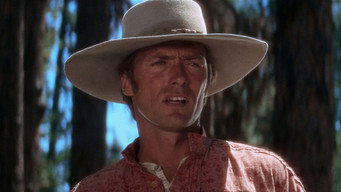 #8 Paint Your Wagon