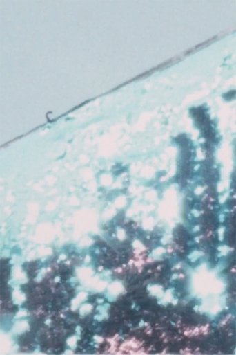 Their families are sleeping poster