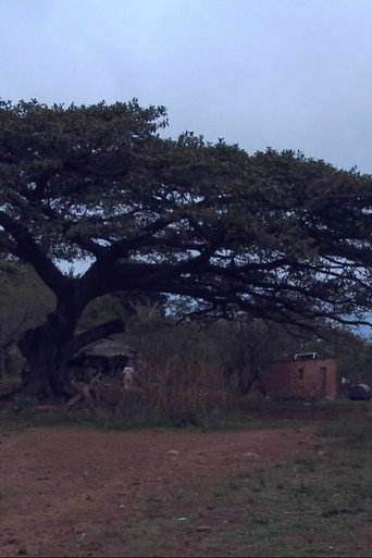 Las Ra&iacute;ces del Roble (2017)