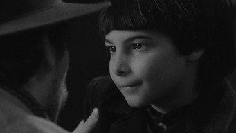 #10 Twilight
