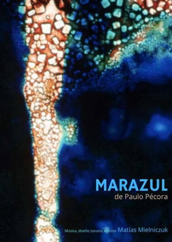 Marazul (2025) movie poster