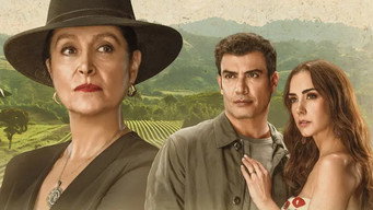 Amor amargo (2024-2025)