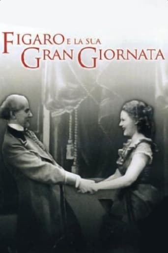 Poster of Figaro e la sua gran giornata