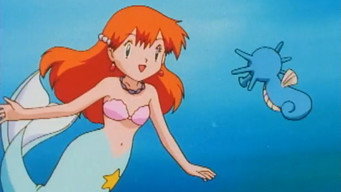The Misty Mermaid