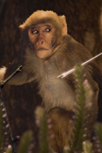 I‘m Disguised, Right in Front of You poster