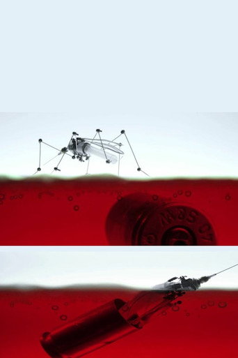 Aedes