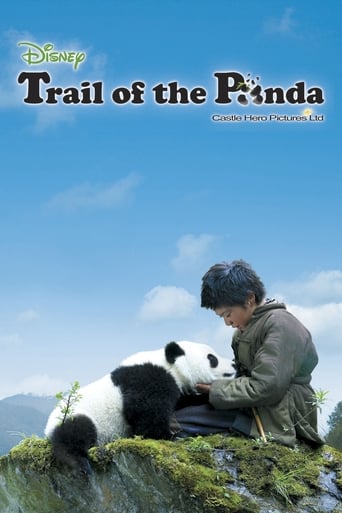 Poster of Trail of the Panda