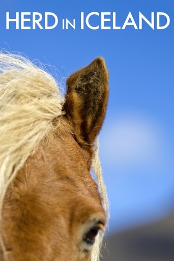 Poster för Herd in Iceland