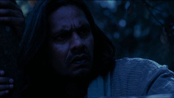 Mission Tiger (2016)