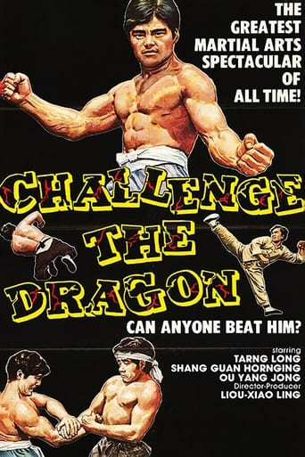 Poster för Challenge the Dragon