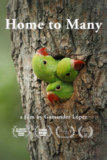 Poster film Home to Many
