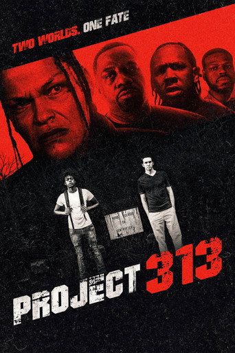 Project 313