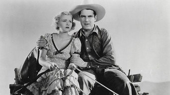 The Trail Drive (1933)