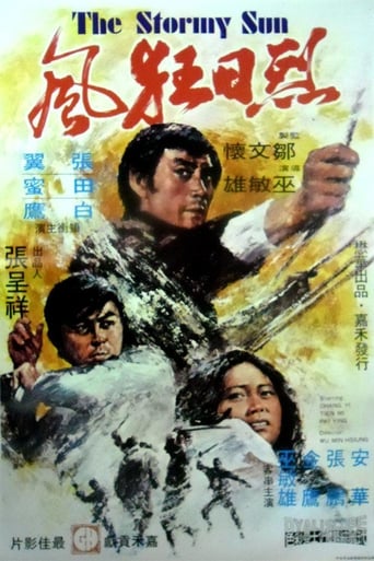 Poster of The Stormy Sun