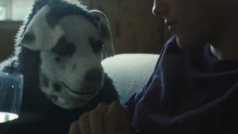 #16 Good Boy