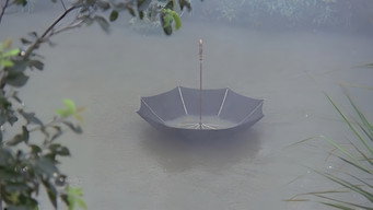 Подвійне самогубство в Мусасіно (1983)