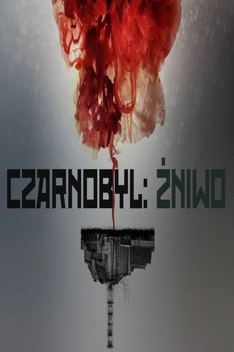 Poster 7