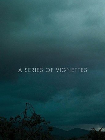 A Series of Vignettes