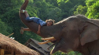Super Smart Animals (2012)
