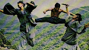 The Way of the Tiger (1973)