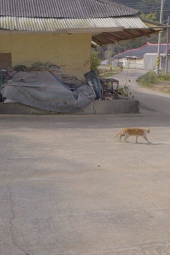 마당이 두 개인 집