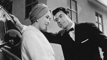A Design for Dying (1961)