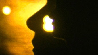 Sphinx on the Seine (2009)