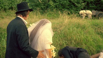Pallieter (1976)