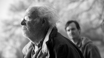 Небраска (2013)