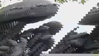 Episode 18