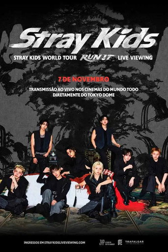 Stray Kids World Tour 'RUN IT' LIVE VIEWING