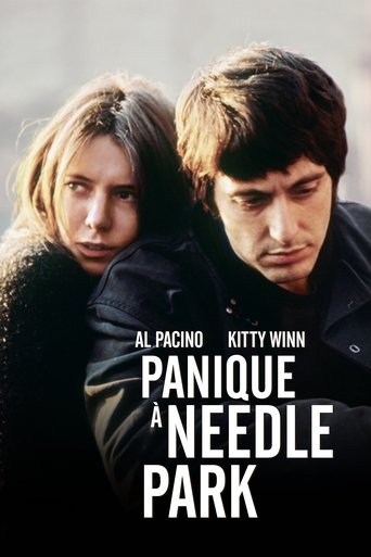 Panique à Needle Park en streaming 