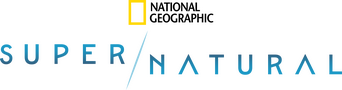 Super/Natural logo