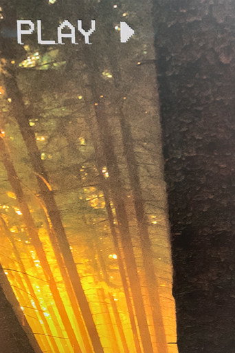 In The Forest (2025)