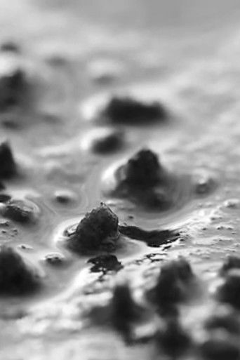 Corophium Volutator poster