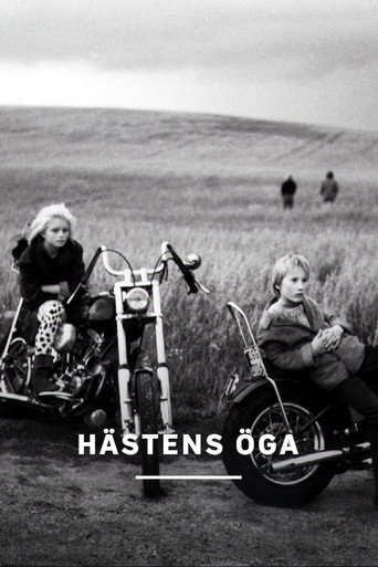 Hästens öga