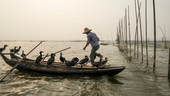 Along the Banks of the Yangtze (2016)
