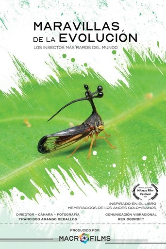Maravillas de la Evolución. Los insectos más raros del mundo poster