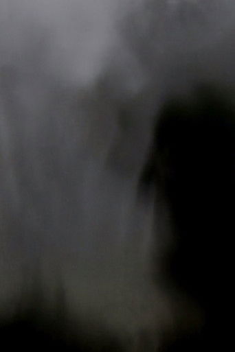 Wings from Somewhere poster