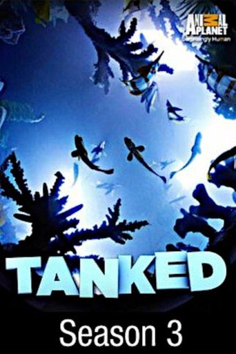 Tanked: Season 3