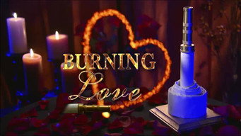 Burning Love (2012-2014)