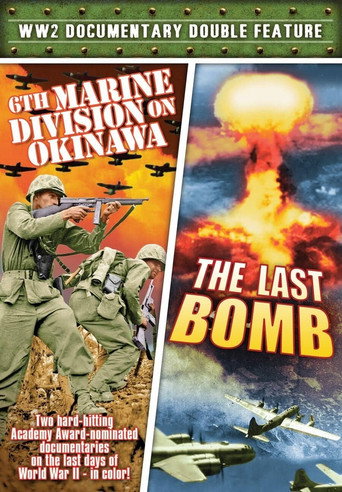 6th Marine Division on Okinawa (1945)