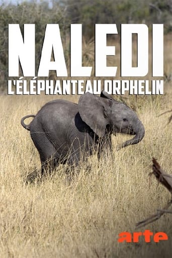 Naledi, l'éléphanteau orphelin en streaming 